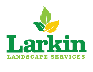 Larkin Landscape
